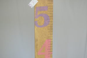 ruler-2